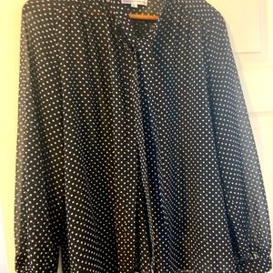 Beautiful navy / tan polka dot sheer blouse